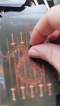 Miniatura: ANIMAL tarot