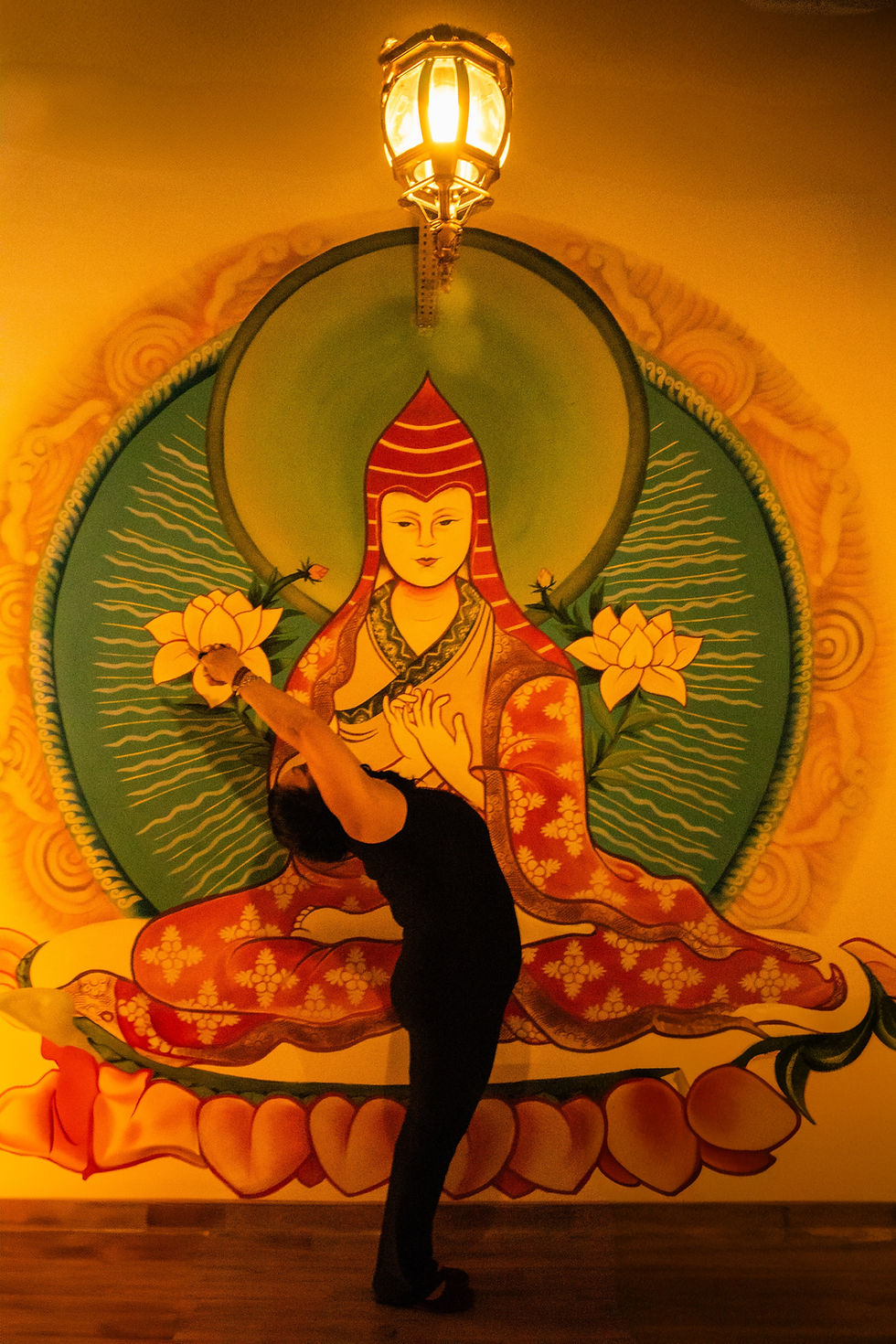 Equilíbrio entre a mente e o corpo 