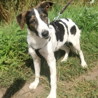 Mona hat Interessenten