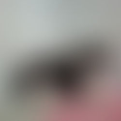 Hannes ist zur Probe ausgezogen