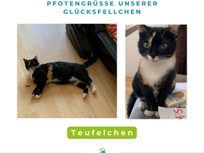 Teufelchen