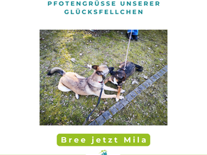 Bree jetzt Mila