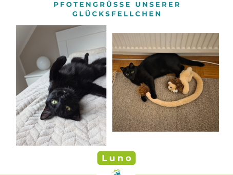 Luno