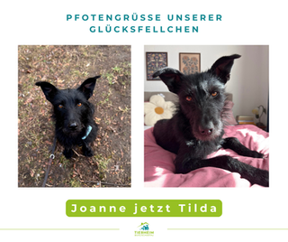 Joanne jetzt Tilda