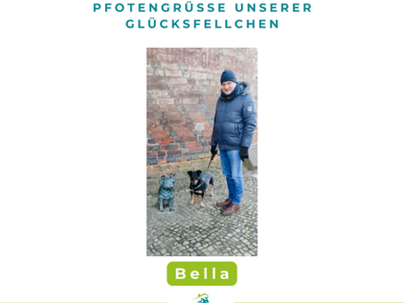 Bella