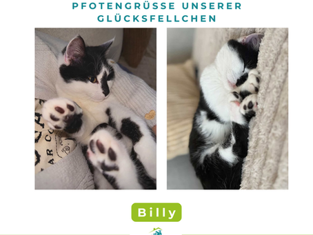 Billy