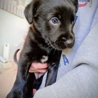 Ramona ist zur Probe ausgezogen