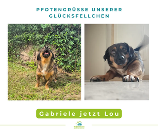 Gabriele jetzt Lou