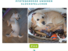 Zoe