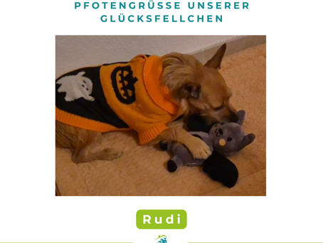 Rudi