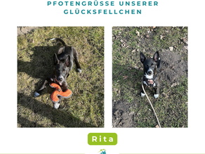 Rita