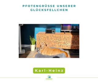 Karl-Heinz