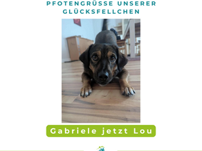 Gabriele jetzt Lou