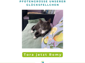 Tora jetzt Romy