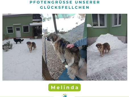 Melinda