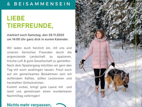 Winterspaziergang 29.11.25