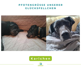 Karlchen