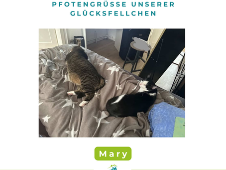 Mary