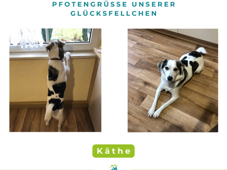 Käthe