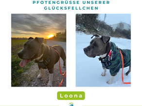 Loona