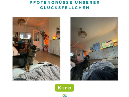 Kiro