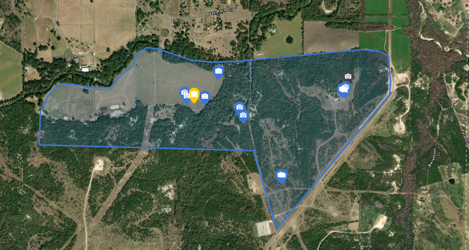 Property map with blue boundary and blue location pins showing where animals were found during thermal survey
