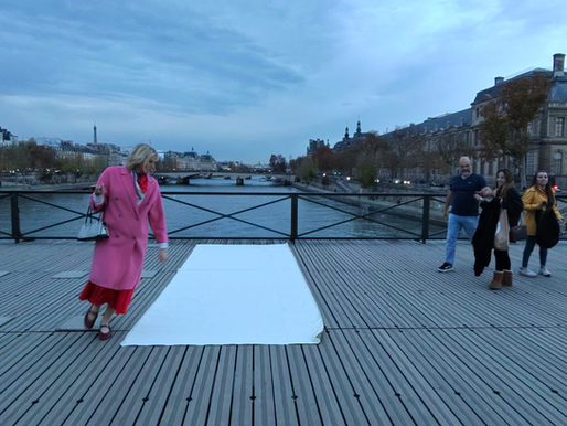 SILENT FABRIC — PERCEPTION, THRESHOLDS, AND BEHAVIORAL SPACE (13 Nov 2025, Paris)