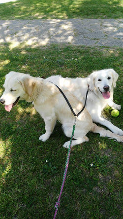 17975956_10154714234743068_2092114495_o