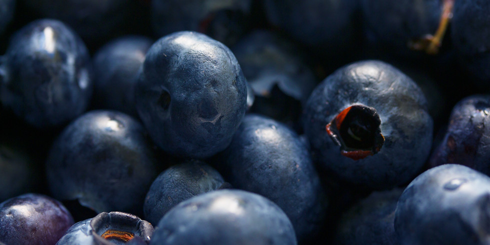 SOLD OUT...Mead Maker 101: Blueberry/Lemon Mead (a melomel!)