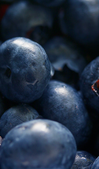 Blueberries