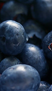 Blueberries