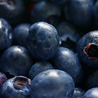 Blueberries