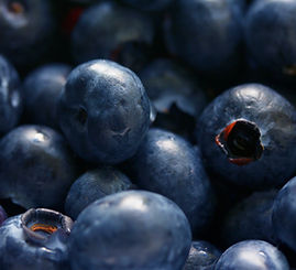 Blueberries
