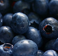 Blueberries