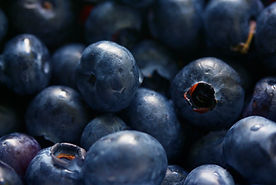 Close-Up Blueberries