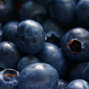 Polyphenole: Pflanzenstoffe mit dem gewissen Etwas 