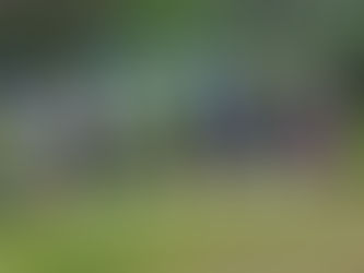 Trippelstevne i rallylydighet 2023