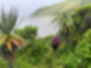 IMG_3516.JPEG