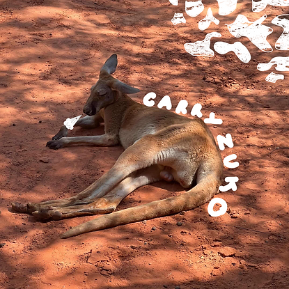 bo vao web xoaaaa.png