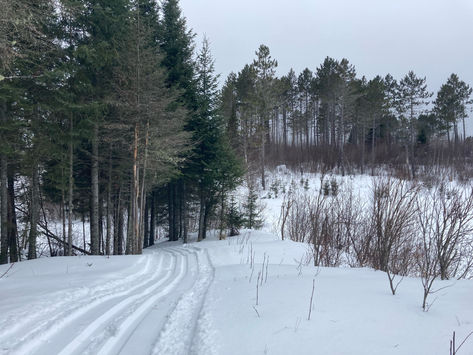 Banadad Trail Groomed - again 2/9/2023