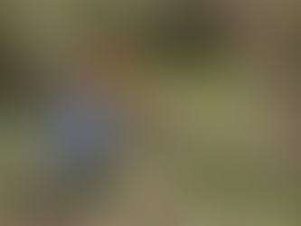 Annual Banadad Trail Clearing Event - October 30, 2021