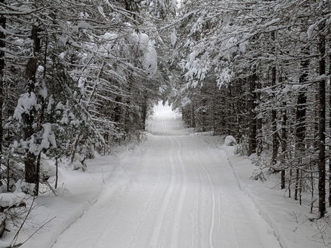 Banadad Trail Groomed today 1/11/2026