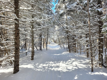 Banadad Trail Groomed this morning (3/14/2026)    SKI BANADAD!