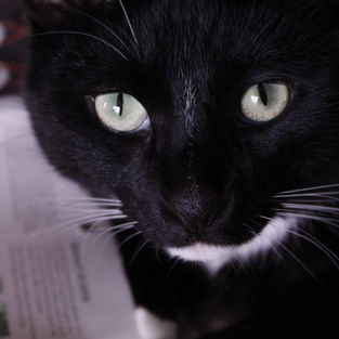 Beautiful eyes