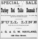 Advertisement featuring "Turkey Red" & "Fast Colors". The Morning Star (Glens Falls, NY) March 1, 1888