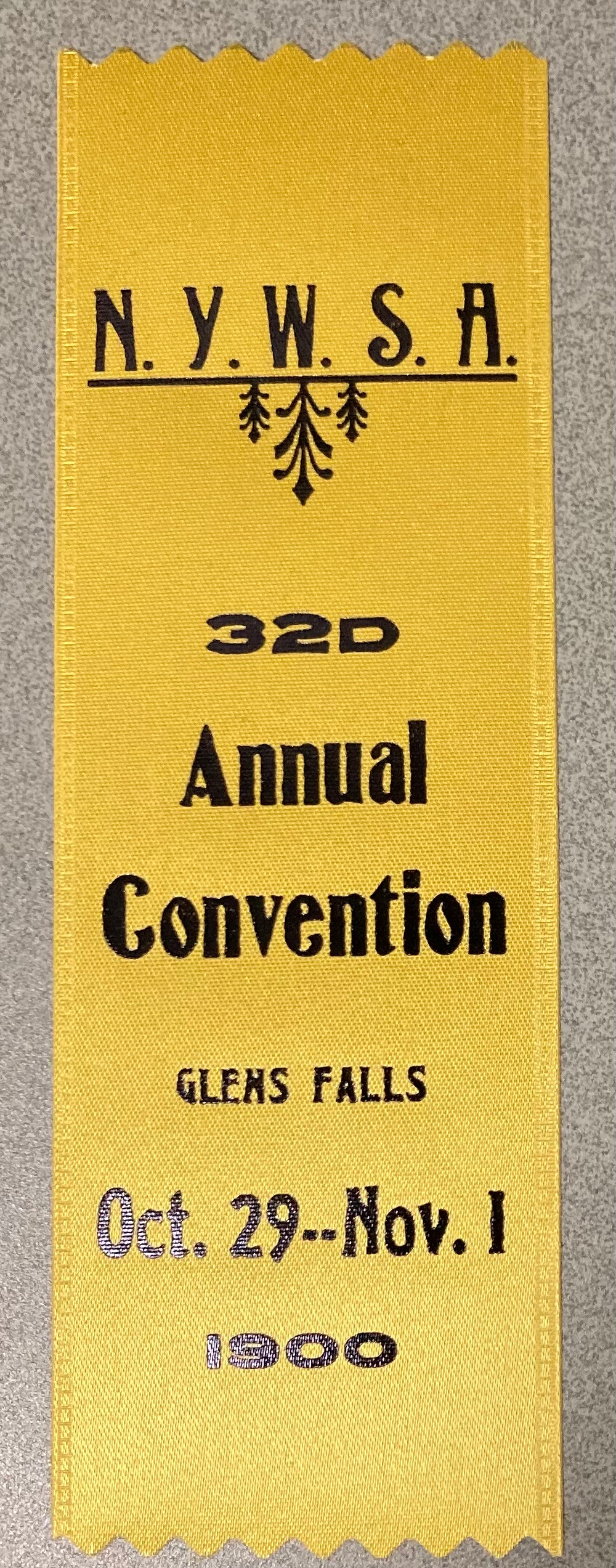 NYWSA ribbon from the 1900 Glens Falls convention, reproduction (Folklife Center at Crandall Public Library)
