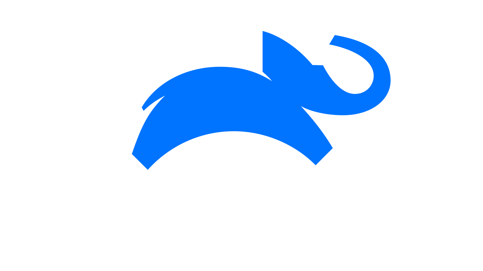 DE | ANIMAL PLANE