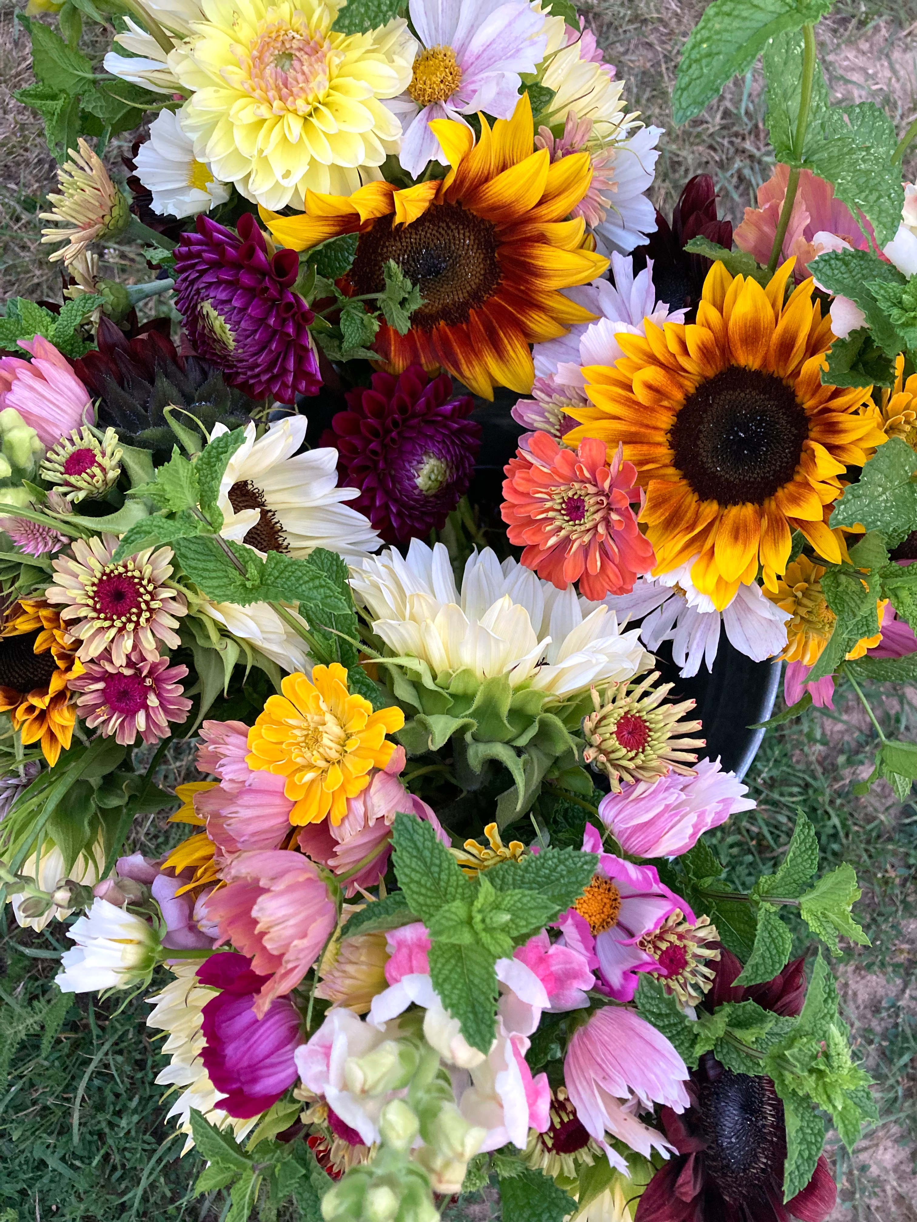 Monthly Bouquet Subscription.