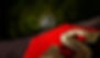 officer-trim_cropped_869x499.jpeg