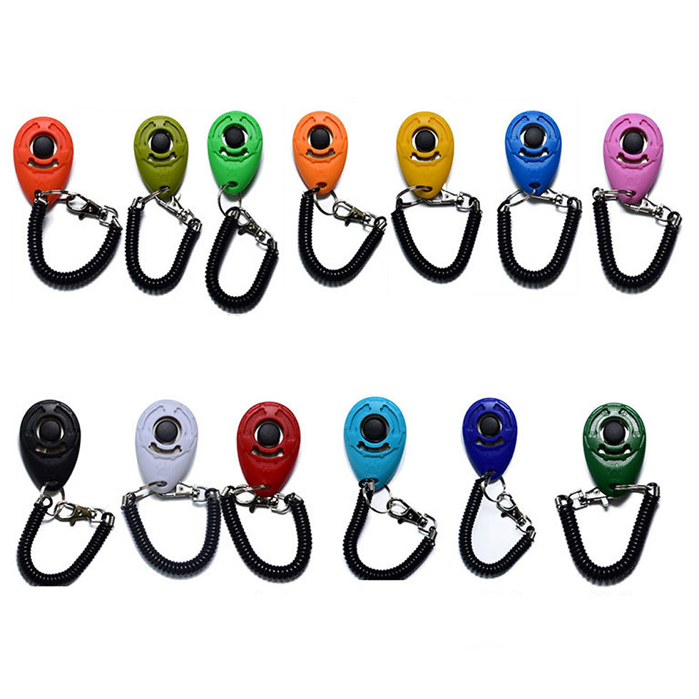 Miniatura: Adjustable Dog Training Clicker with Keychain Strap